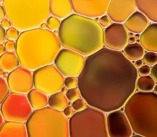 Olio di Origano